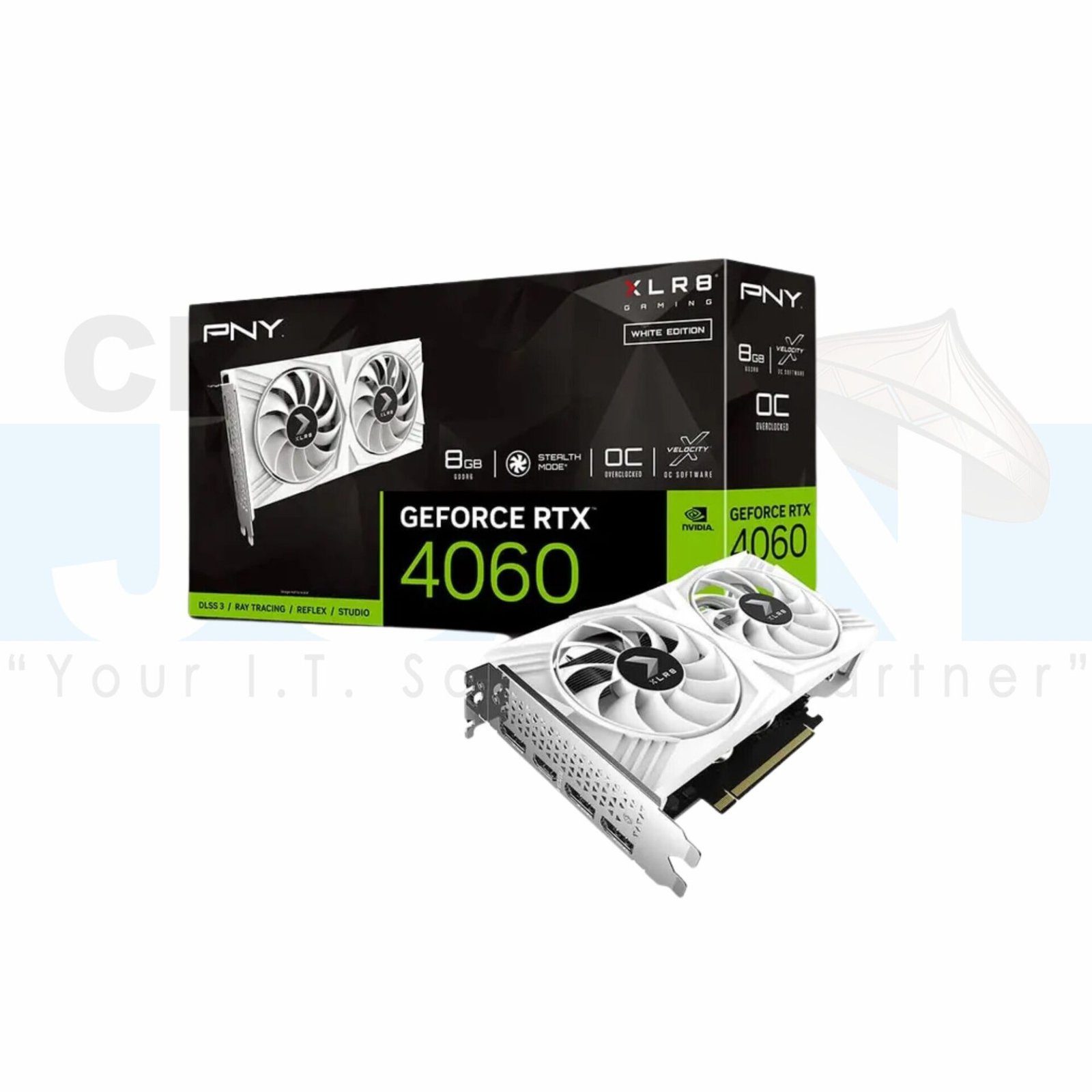 PNY GeForce RTX 4060 8GB VERTO Dual Fan White Edition Video Card
